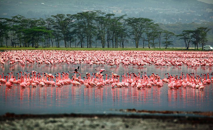 Top 10 tourist attractions in Kenya